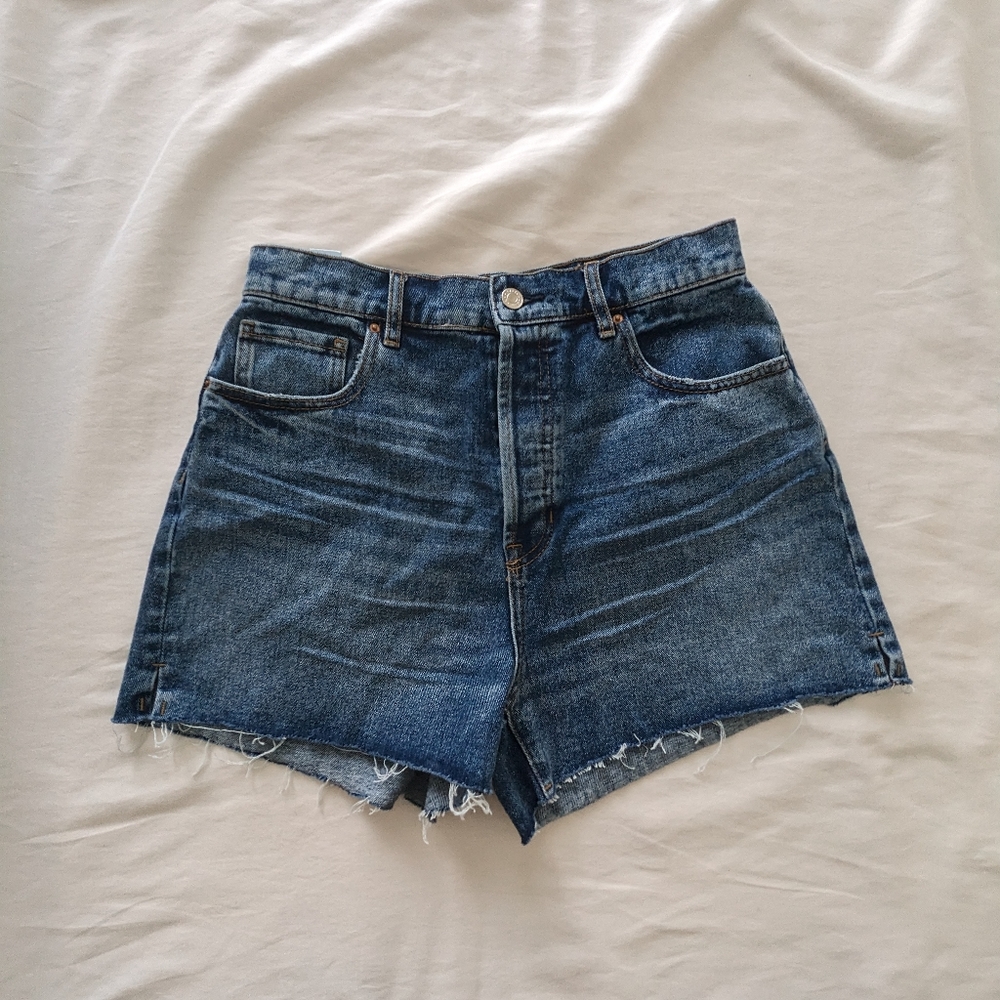 Pacsun High Rise Icon Shorts Size 29
